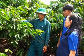 Phát huy hiệu quả nguồn vốn vay ưu đãi qua tổ chức Đoàn