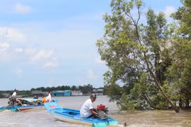 'Đê' mắm giữ bờ