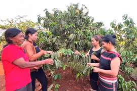 Chư Păh đẩy mạnh học tập và làm theo Bác 