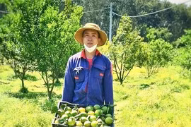 Phó Bí thư đoàn xã kiếm tiền tỉ mỗi năm nhờ làm nông