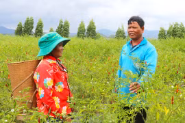 Ông Đinh Pít hết lòng vì dân làng