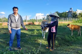 Đa dạng hình thức hỗ trợ hộ nghèo phát triển sản xuất