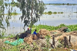 Mưu sinh đầu mùa nước nổi