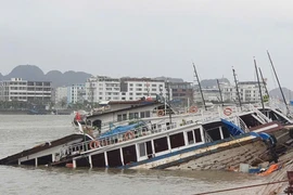 Hàng chục tàu du lịch ở Tuần Châu bị chìm trong bão dữ Yagi, thiệt hại hàng tỉ đồng