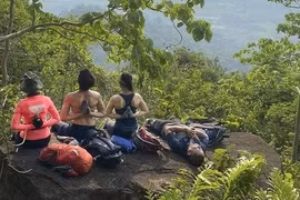 'Tắm rừng', trào lưu chữa lành hay nỗi sợ bỏ lỡ?