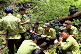 Khốc liệt cuộc chiến giữ rừng - Kỳ 2: Quyền lợi lẩn khuất đâu đó…