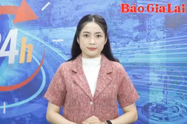 Gia Lai 24h: Chủ tịch UBND TP. Pleiku kiểm tra thực tế điểm sạt lở tại phường Hoa Lư