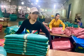 Hậu kiểm doanh nghiệp tạo môi trường kinh doanh lành mạnh