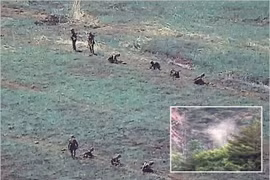 Hàn Quốc cho biết nhiều binh sĩ Triều Tiên bị thương vong do nổ mìn gần giới tuyến