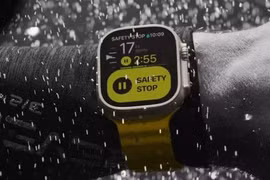 Apple Watch 'sống sót' thần kỳ sau hơn một năm dưới đáy biển