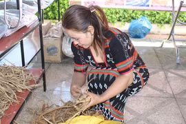 Làm nông thức thời: Tr'hy mở đường cho nông sản đi xa