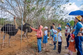 80.000 lượt du khách đến Đắk Nông dịp tết