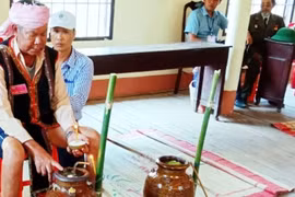 Tiếng vọng đại ngàn