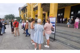 'Cò' du lịch lộng hành tại Hạ Long