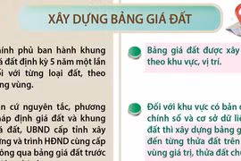 Ban hành bảng giá đất hằng năm từ ngày 1/1/2026