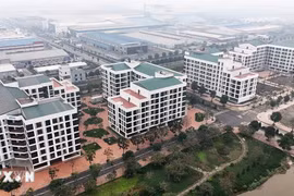 Cắt giảm tối đa trình tự, thủ tục thực hiện dự án nhà ở xã hội