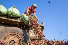 Giá hàng loạt nông sản tăng kỷ lục