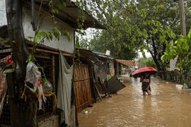 Bão Yagi gây nhiều thiệt hại ở Philippines