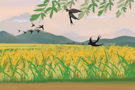 Cánh én mùa xuân