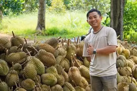 Tiến sĩ 9X về quê sản xuất nông nghiệp hữu cơ