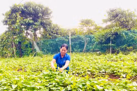 Chi bộ làng Bông Phun phát huy vai trò “hạt nhân” lãnh đạo 