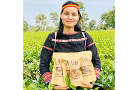 Xây dựng nhãn hiệu hàng hóa: Tăng giá trị sản phẩm, tạo sức hút với người tiêu dùng