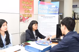 Tỉ lệ thất nghiệp ở lao động trẻ còn cao