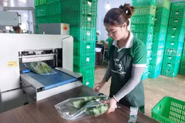 Gia hạn nộp thuế để hỗ trợ doanh nghiệp phục hồi, tăng trưởng