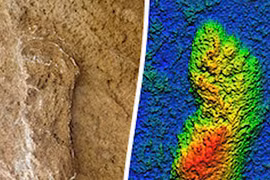 Phát hiện hơn 80 dấu chân con người có niên đại khoảng 100.000 năm ở Bắc Phi