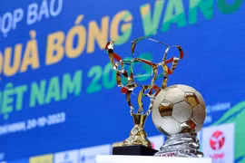 Khơi mạch vàng tươi trẻ