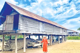 Xuôi về miền nắng