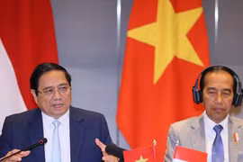 Hợp tác kinh tế thương mại là điểm sáng trong quan hệ Việt Nam-Indonesia