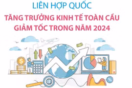 Liên hợp quốc: Tăng trưởng kinh tế toàn cầu giảm tốc trong năm 2024