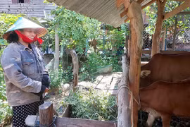 Phú Thiện trao “cần câu” cho hộ nghèo 