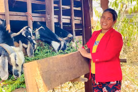 Chư Prông quan tâm hỗ trợ sinh kế cho người nghèo 