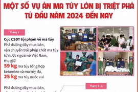 Từ đầu năm 2024 đến nay đã triệt phá gần 14.500 vụ án ma túy