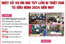 Từ đầu năm 2024 đến nay đã triệt phá gần 14.500 vụ án ma túy