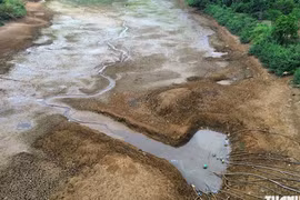 ĐBSCL xâm nhập mặn vượt lịch sử, Tây nguyên 139 hồ cạn nước