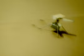 Tiết lộ tình trạng thê thảm của tàu săn sự sống NASA