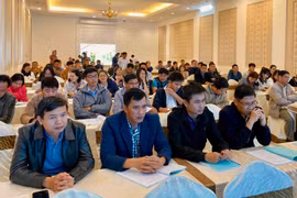 Gia Lai nâng cao năng lực lập, quản lý quy hoạch xây dựng