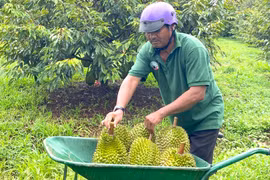 Sport Farm làm nông nghiệp bằng sự tử tế