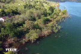 Đắk Nông điều tiết tiền dịch vụ môi trường rừng, góp phần quản lý, bảo vệ rừng