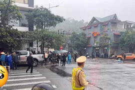 Tạm giữ tài xế xe bán tải tông liên hoàn làm 3 người chết ở Quảng Ninh