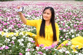 Vườn trồng cây thuốc Nam ở Cần Thơ bất ngờ trở thành điểm check-in hút khách