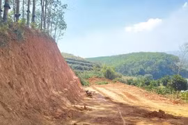 Vụ xã 'tạo điều kiện' cho khai thác đất trái phép: Yêu cầu xác minh, làm rõ