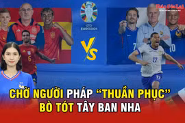 Chờ người Pháp “thuần phục” Bò tót Tây Ban Nha