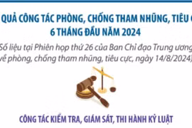 Từ đầu năm 2024, đã thi hành kỷ luật 47 cán bộ do trung ương quản lý
