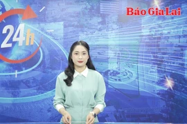 Gia Lai 24h: Ứng dụng công nghệ thông tin trong kiểm tra, xử lý vi phạm giao thông