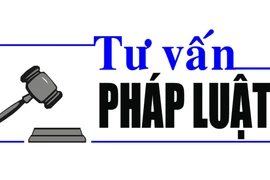 Luật sư Bùi Thanh Vũ: Tư vấn pháp luật