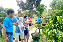 Hơn 300 tác phẩm ra mắt triển lãm bonsai nghệ thuật
